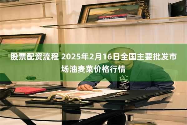 股票配资流程 2025年2月16日全国主要批发市场油麦菜价格行情