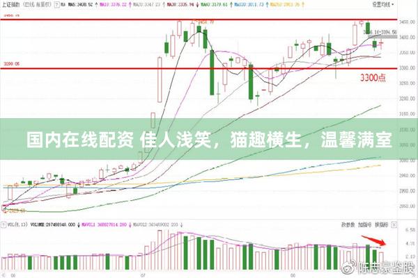国内在线配资 佳人浅笑，猫趣横生，温馨满室