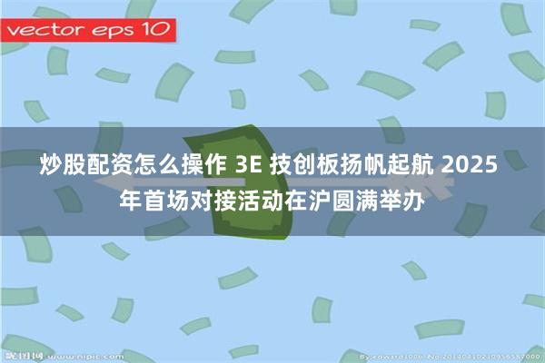 炒股配资怎么操作 3E 技创板扬帆起航 2025 年首场对接活动在沪圆满举办