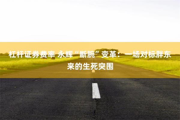 杠杆证券费率 永辉“断腕”变革：一场对标胖东来的生死突围
