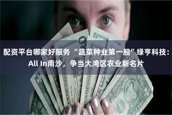 配资平台哪家好服务 “蔬菜种业第一股”绿亨科技：All In南沙，争当大湾区农业新名片