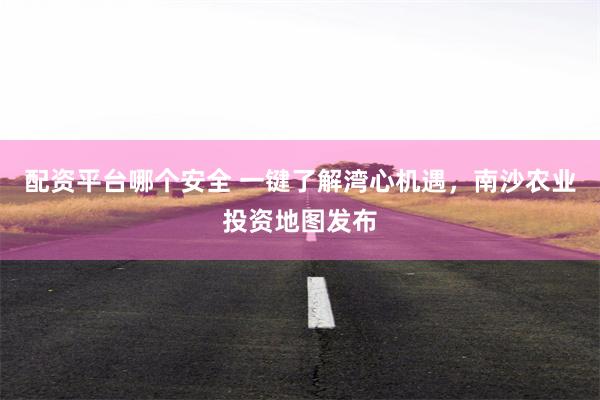 配资平台哪个安全 一键了解湾心机遇，南沙农业投资地图发布