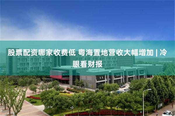 股票配资哪家收费低 粤海置地营收大幅增加 | 冷眼看财报