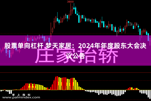 股票单向杠杆 梦天家居：2024年年度股东大会决议公告